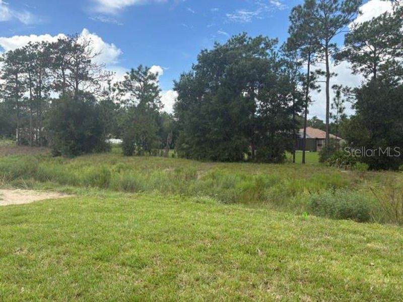 Natural landscape and outdoor views near Juliette Falls in Dunnellon (Image 7).
