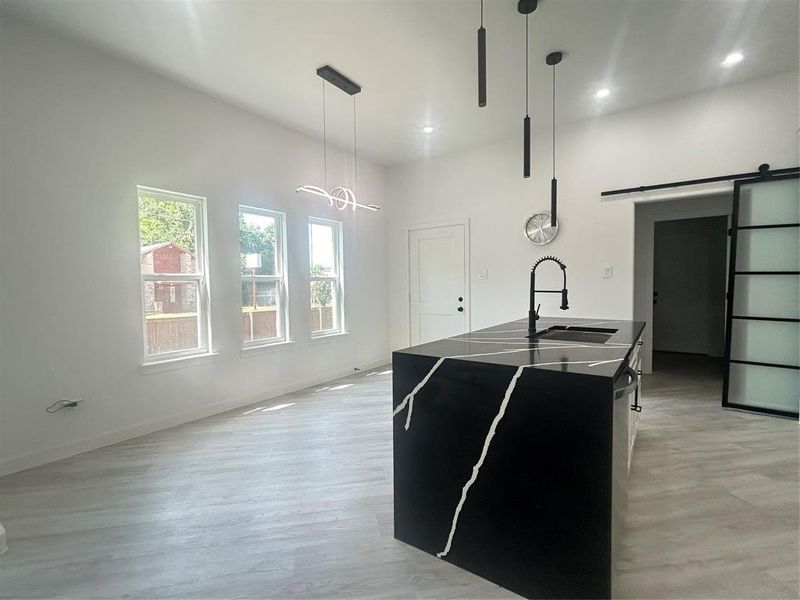 Kitchen featuring a barn door, light hardwood / wood-style floors, sink, pendant lighting, and a center island with sink