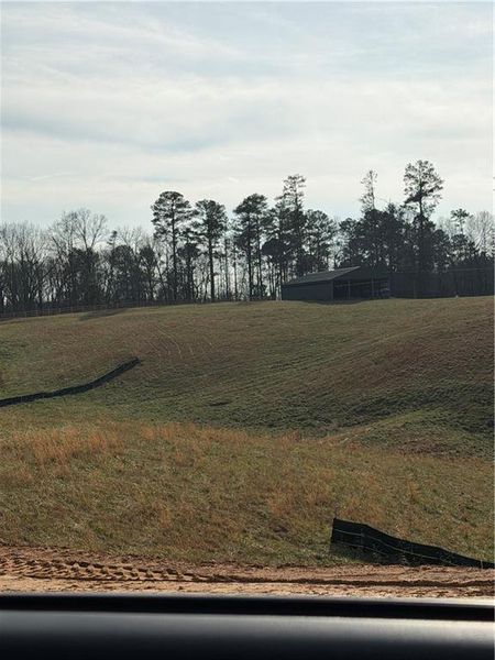 Natural landscape and outdoor views near  in Gainesville (Image 50).