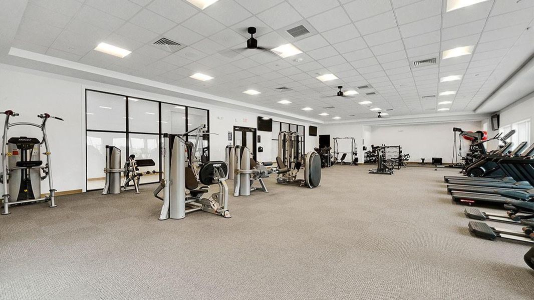 *Images and 3D tour are for illustration only and options may vary from home as built.