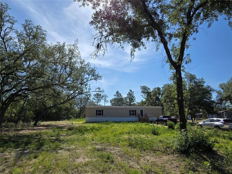Natural landscape and outdoor views near  in Bronson (Image 16).