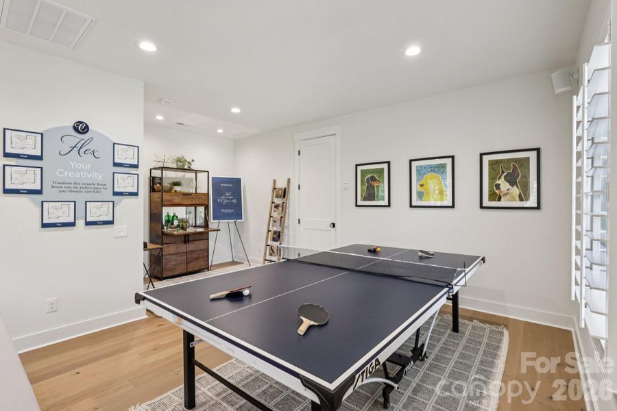 Game Area in Upstairs Bonus