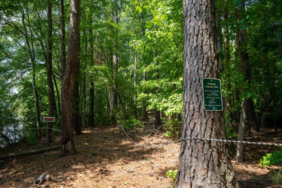 Natural landscape and outdoor views near  in Buckhead (Image 59).