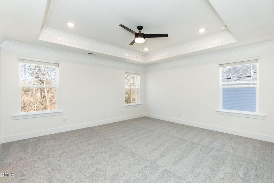 Primary 01 Primary 01