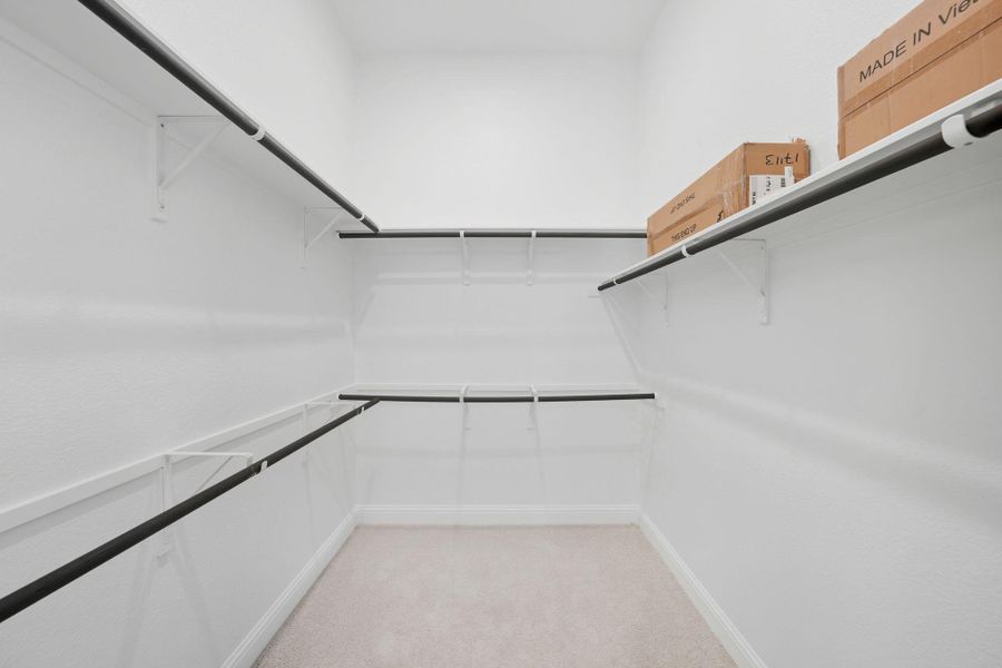 Spacious closet featuring light colored carpet Spacious closet featuring light colored carpet