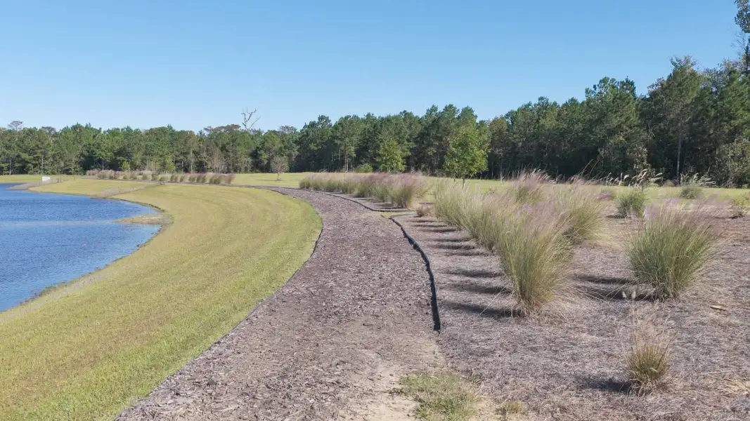 Natural landscape and outdoor views near Saltgrass Landing in Winnabow (Image 31).