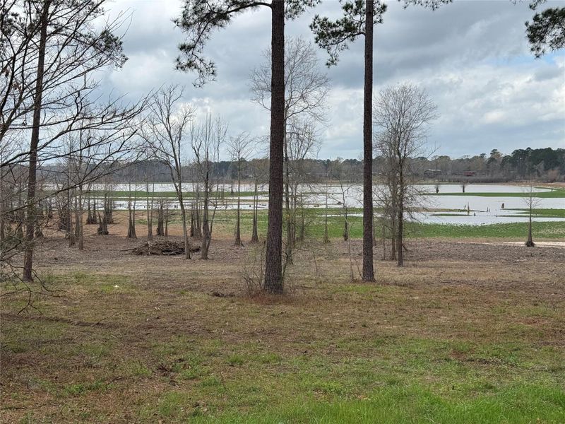 Natural landscape and outdoor views near  in Broaddus (Image 14).