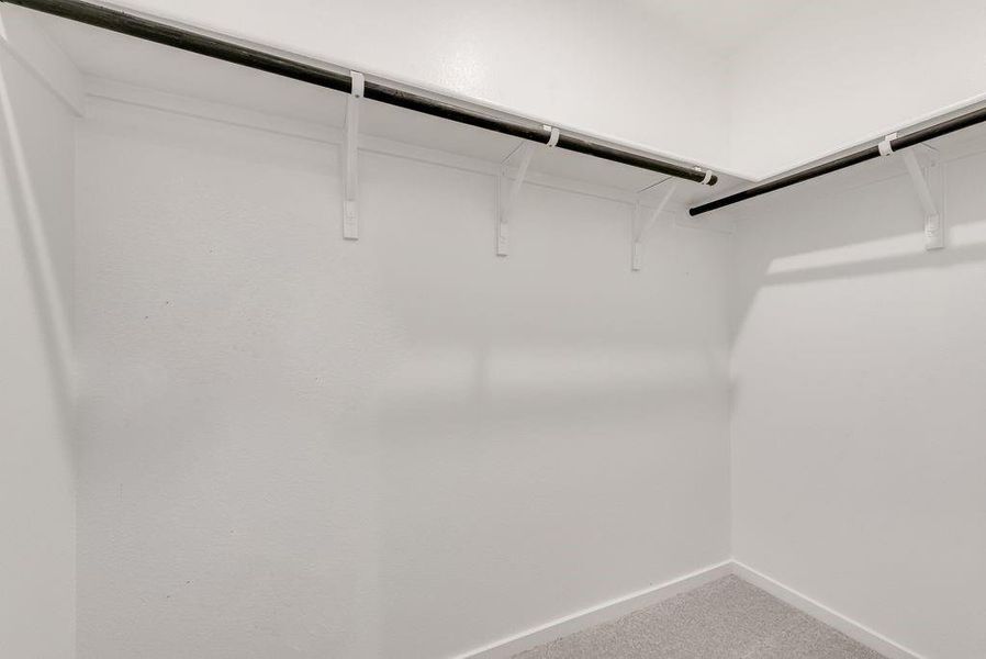 Walk in closet featuring carpet flooring