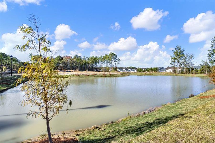 Natural landscape and outdoor views near Cobblestone at East Argent in Hardeeville (Image 24). Natural landscape and outdoor views near Cobblestone at East Argent in Hardeeville (Image 24).