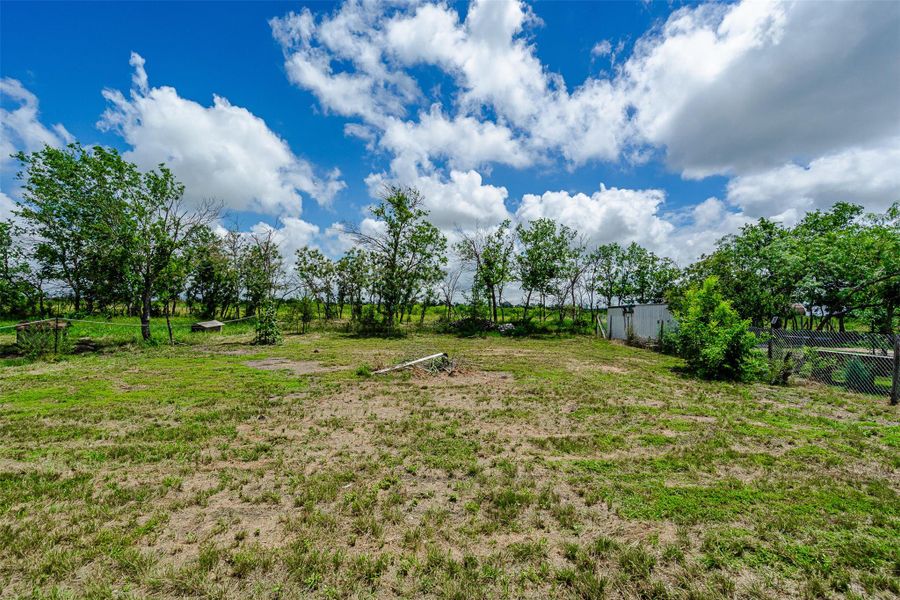 A spacious, verdant yard awaits, framed by mature trees and open skies. A spacious, verdant yard awaits, framed by mature trees and open skies.