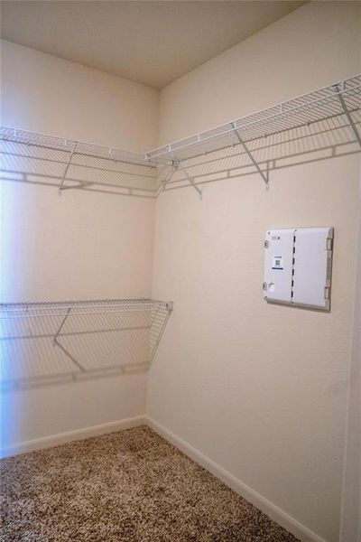 Spacious closet with carpet floors