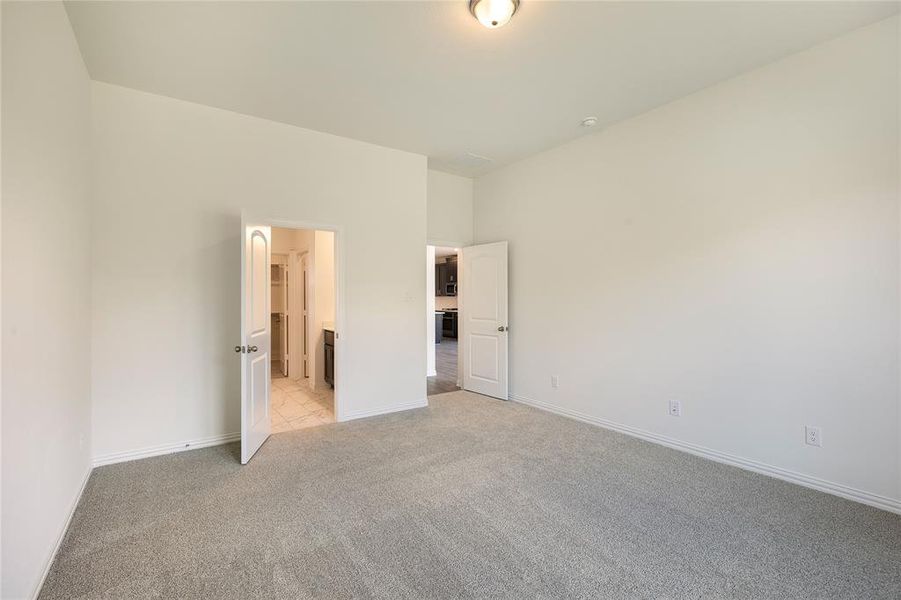 Spec Elevon 256 Bright Alcove-016 Spec Elevon 256 Bright Alcove-016