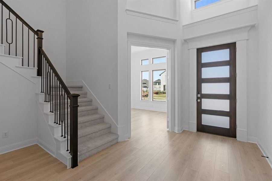 DAL_Painted Tree_Easton_3925 Menard Street (3) DAL_Painted Tree_Easton_3925 Menard Street (3)