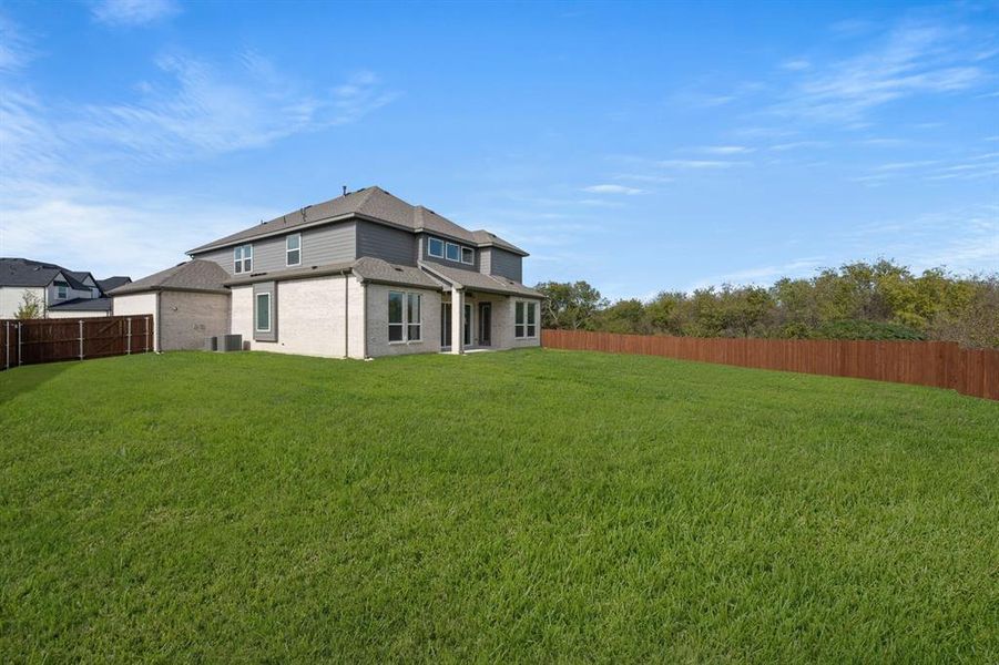 2215 Pelican- Back-2 2215 Pelican- Back-2