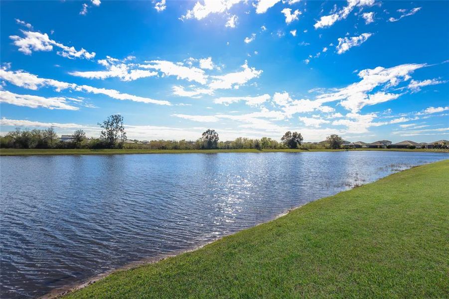 Natural landscape and outdoor views near  in Bradenton (Image 74).
