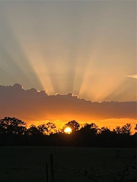 Natural landscape and outdoor views near  in Newberry (Image 31).