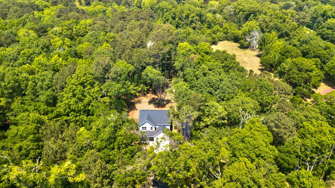 Natural landscape and outdoor views near  in Charleston (Image 45).