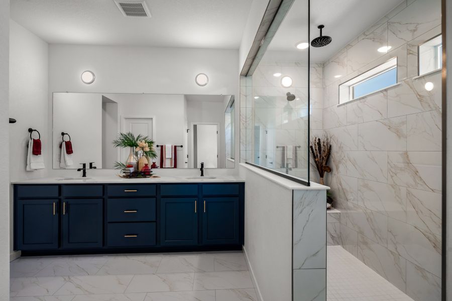 Owner's Bath