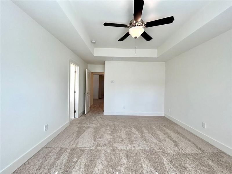 Spare room with ceiling fan, a raised ceiling, and light carpet