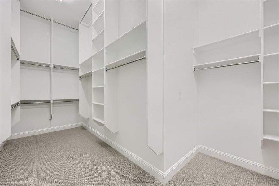 Spacious closet featuring carpet