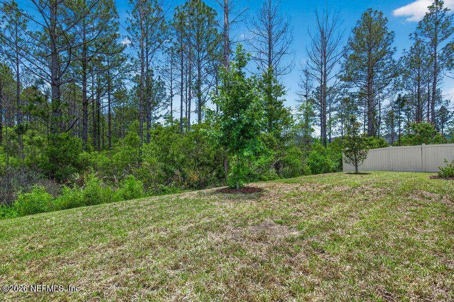 Natural landscape and outdoor views near St Augustine Lakes in St. Augustine (Image 53).