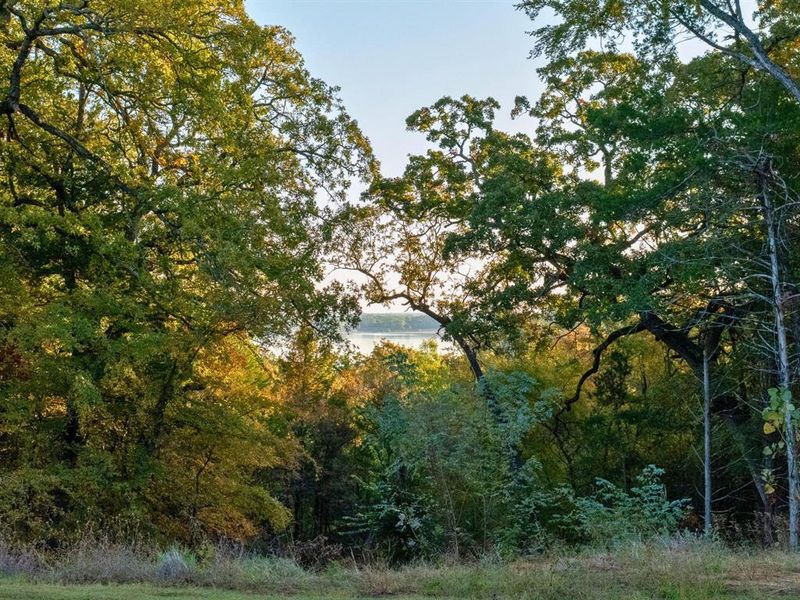 Natural landscape and outdoor views near  in Gordonville (Image 10).