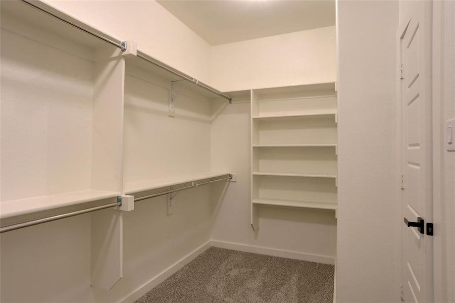 Spacious closet with carpet flooring