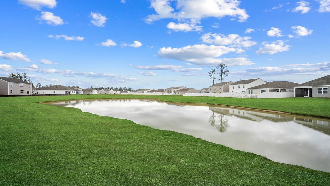 Natural landscape and outdoor views near The Retreat at East Argent in Ridgeland (Image 4).
