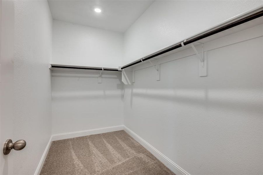 Walk in closet with carpet floors