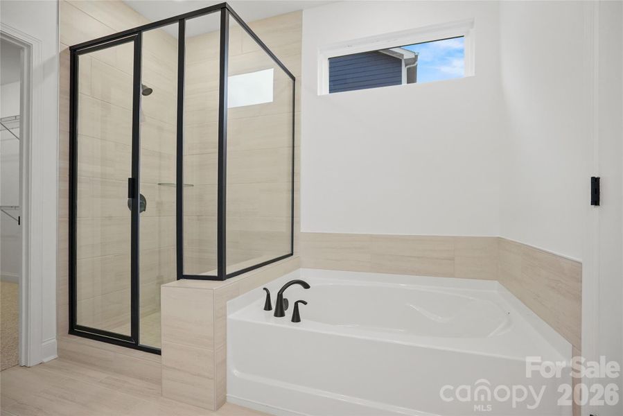 Owner's Bath