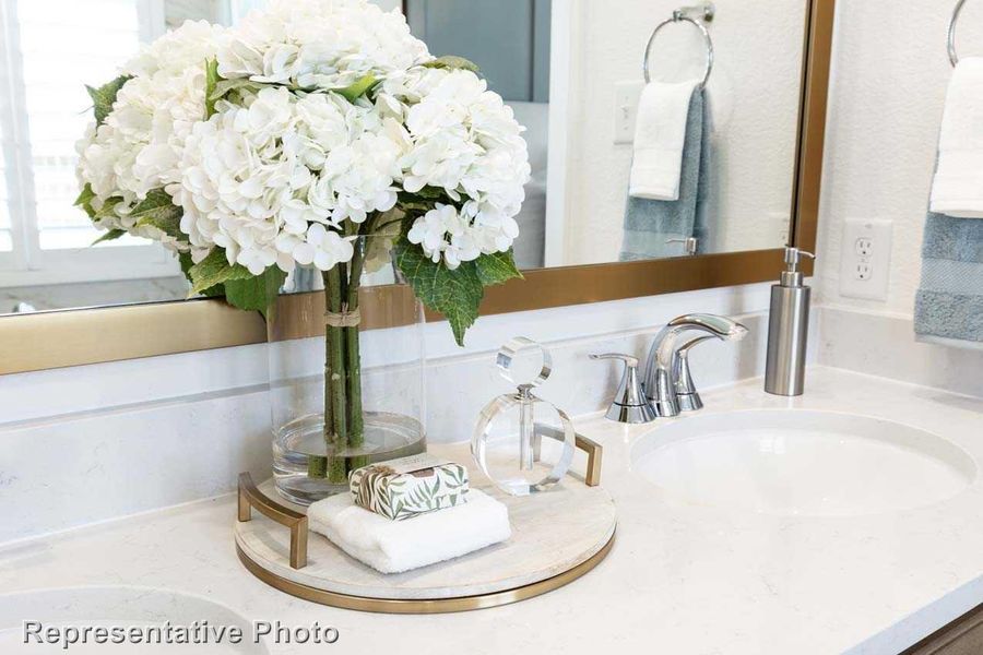 Primary Bathroom (Representative Photo)