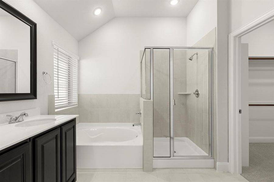 19. 103 Whistling Duck - Bath