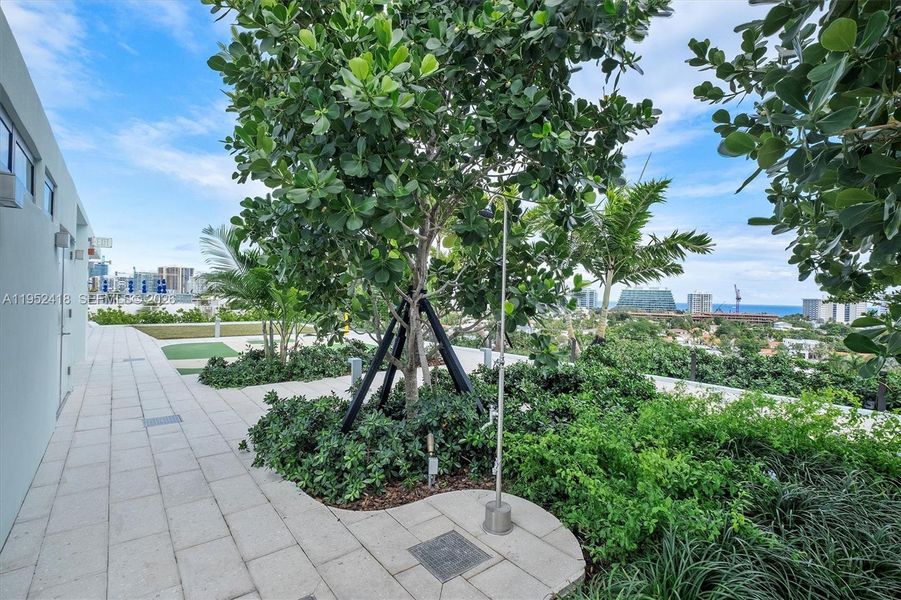Natural landscape and outdoor views near  in Bay Harbor Islands (Image 78).