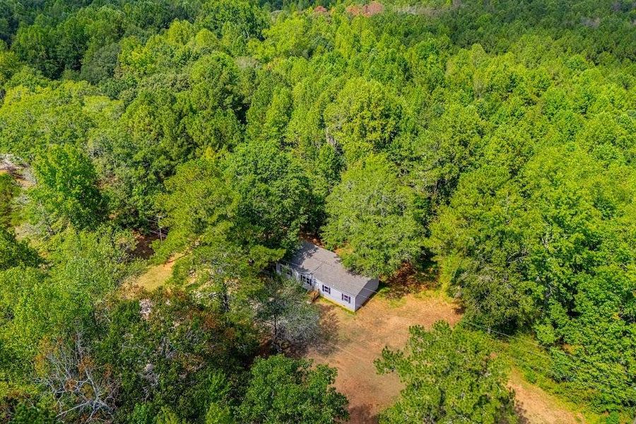 Natural landscape and outdoor views near  in Carrollton (Image 58).