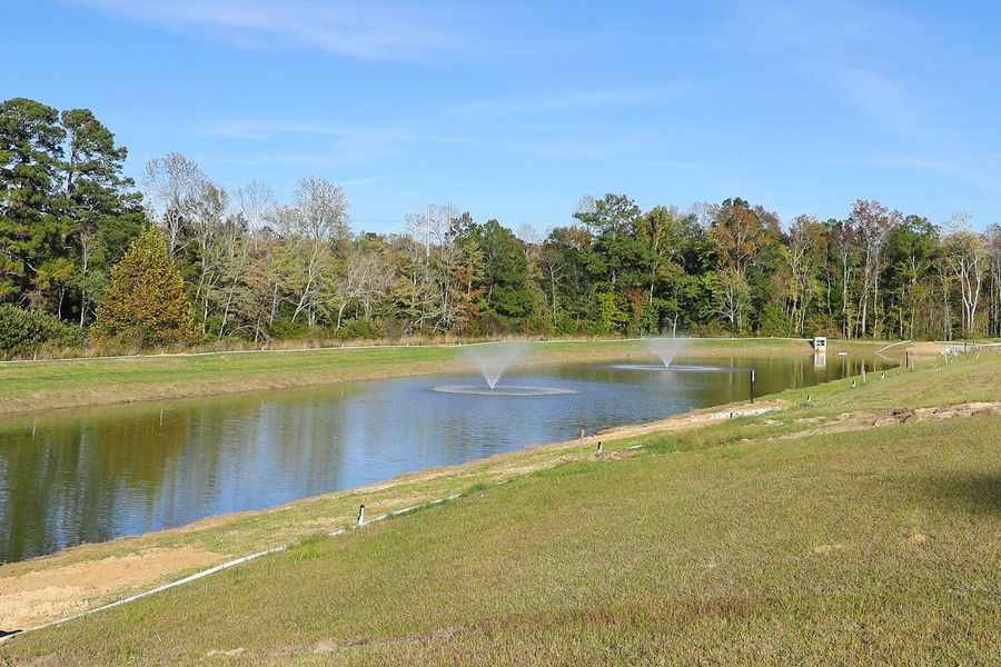 Natural landscape and outdoor views near Jordan Grove in Conway (Image 30).
