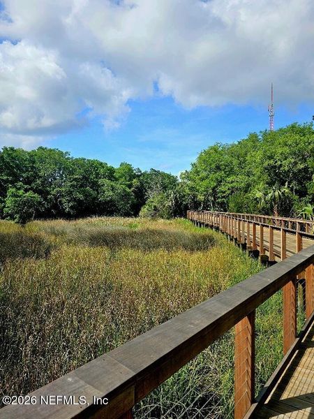 Natural landscape and outdoor views near  in Jacksonville (Image 20).