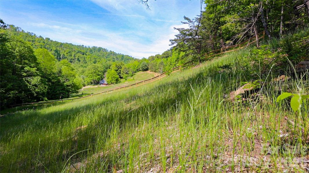 Natural landscape and outdoor views near  in Weaverville (Image 19).