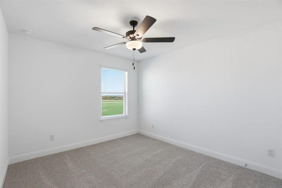 1017 Rainshower ~ Ready Now 1017 Rainshower ~ Ready Now