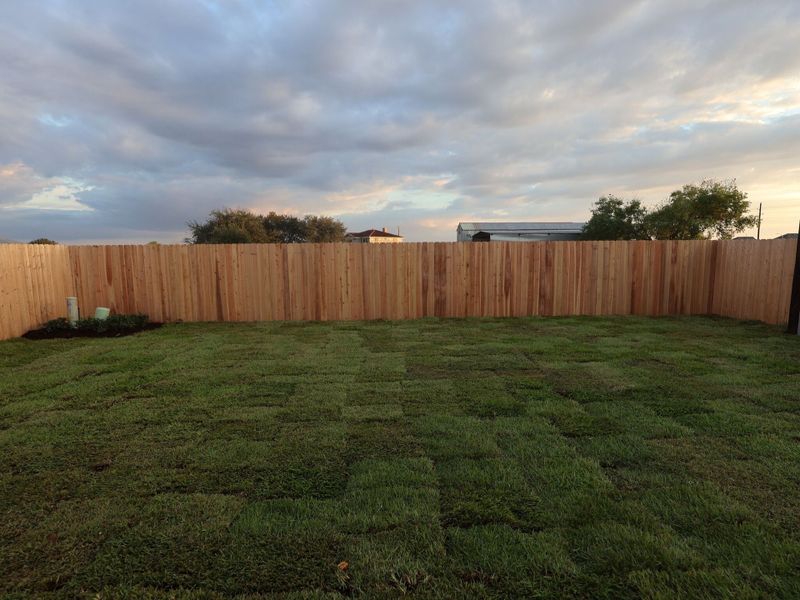 Backyard