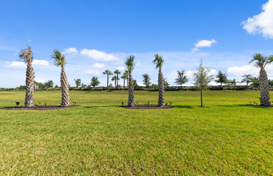 Natural landscape and outdoor views near Del Webb Naples in Ave Maria (Image 13).