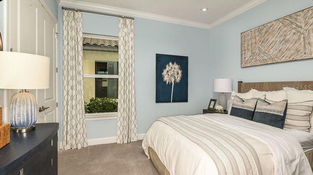 REPRESENTATIVE PHOTOS