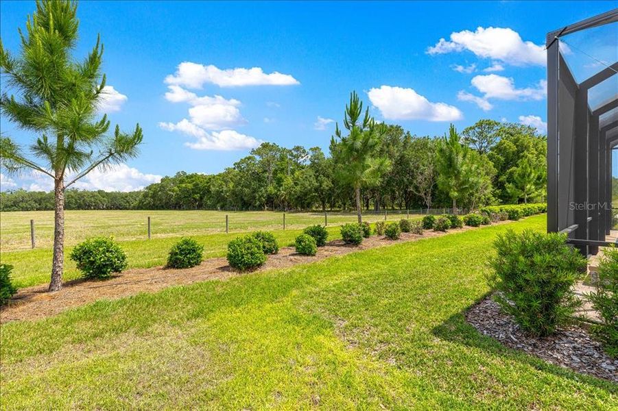 Natural landscape and outdoor views near  in Ocala (Image 49).