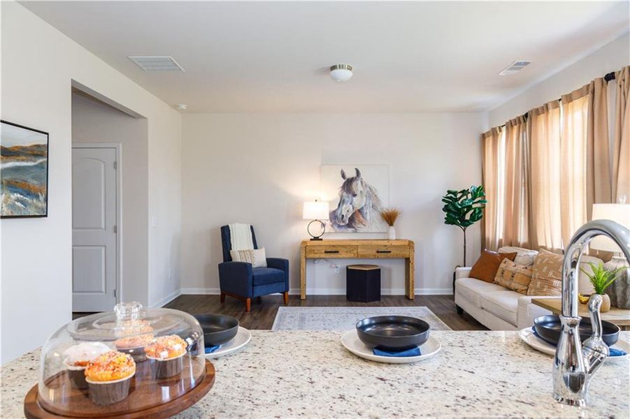 Furnished interior view inside a new home in Enclave at Dawson Forest, Dawsonville (Image 10). Furnished interior view inside a new home in Enclave at Dawson Forest, Dawsonville (Image 10).