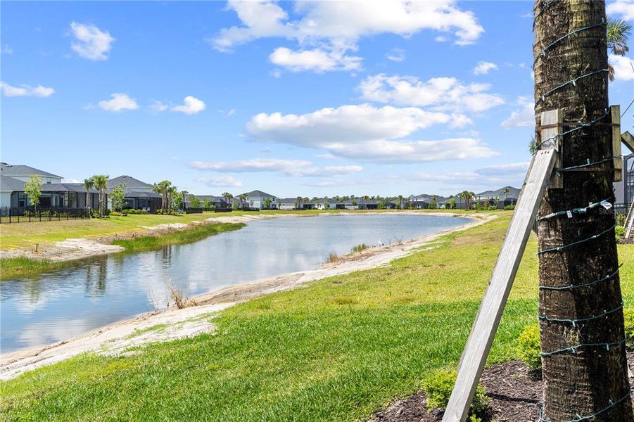 Natural landscape and outdoor views near in Punta Gorda (Image 74). Natural landscape and outdoor views near in Punta Gorda (Image 74).