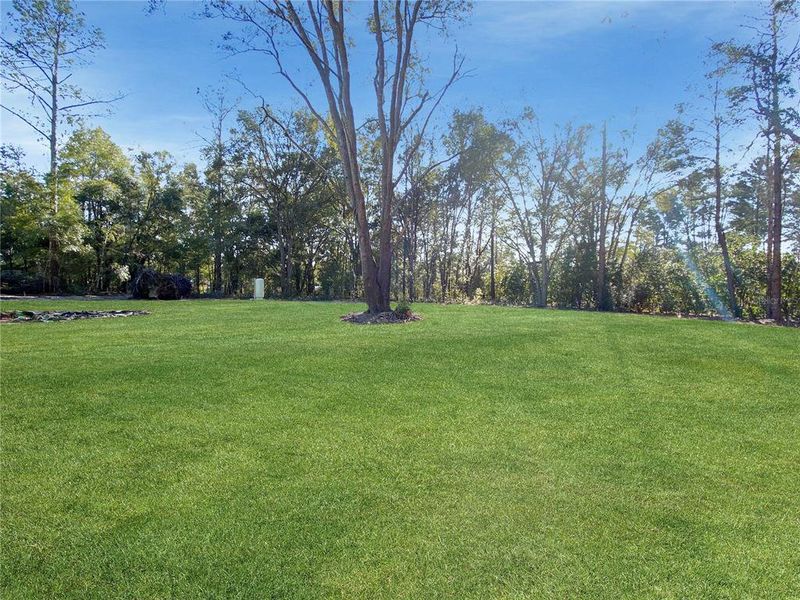 Natural landscape and outdoor views near in High Springs (Image 6). Natural landscape and outdoor views near in High Springs (Image 6).