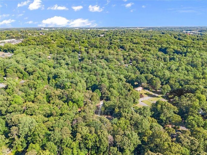 Natural landscape and outdoor views near  in Gainesville (Image 47).