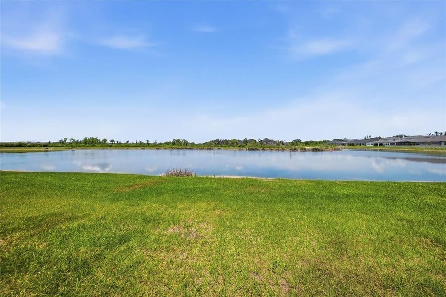 Natural landscape and outdoor views near Connerton in Land O' Lakes (Image 73).