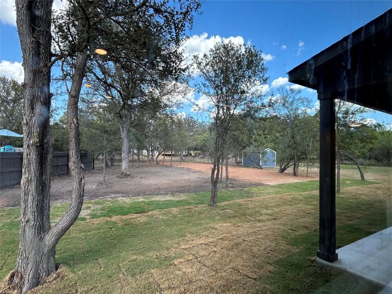 Natural landscape and outdoor views near  in Bastrop (Image 29).