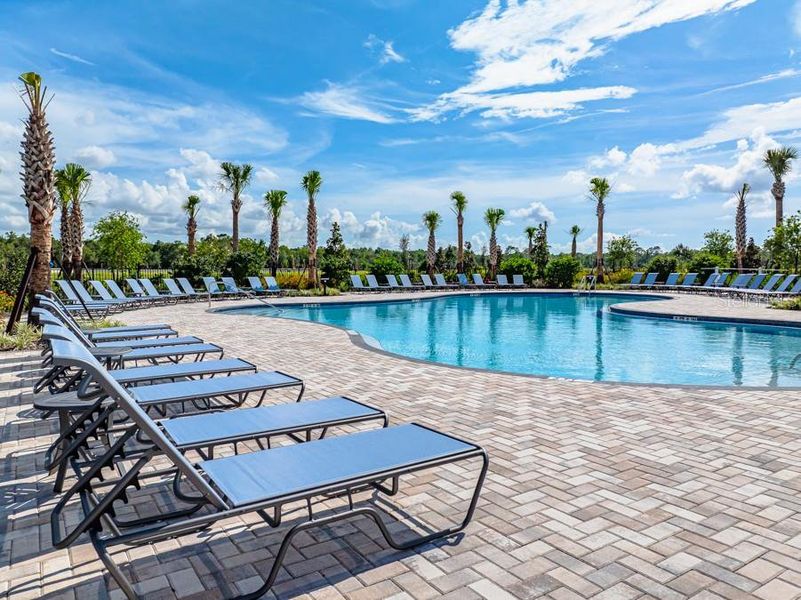 Community amenities in Palm Wind, Hudson (Image 12).