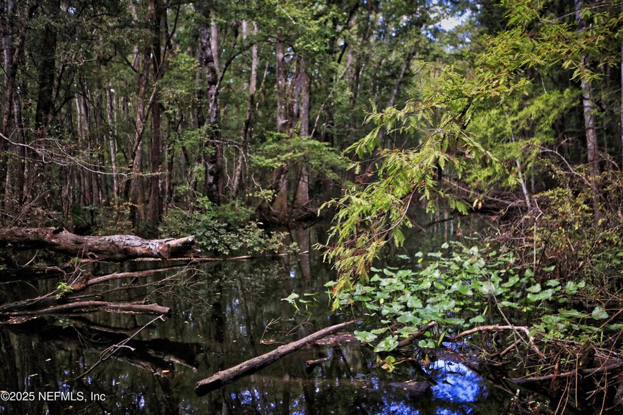Natural landscape and outdoor views near Trailmark in St. Augustine (Image 50).